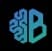 Brian Knows logo