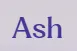 Talk To Ash logo
