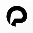 Puch AI logo
