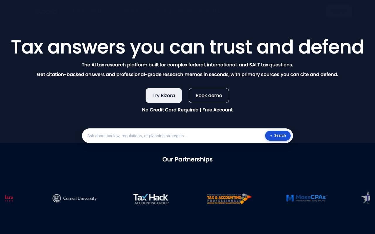 Bizora AI interface preview
