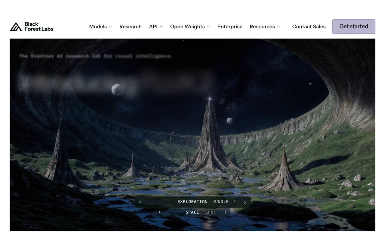 Black Forest Labs interface preview