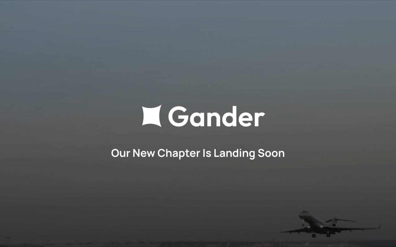 Gander AI interface preview