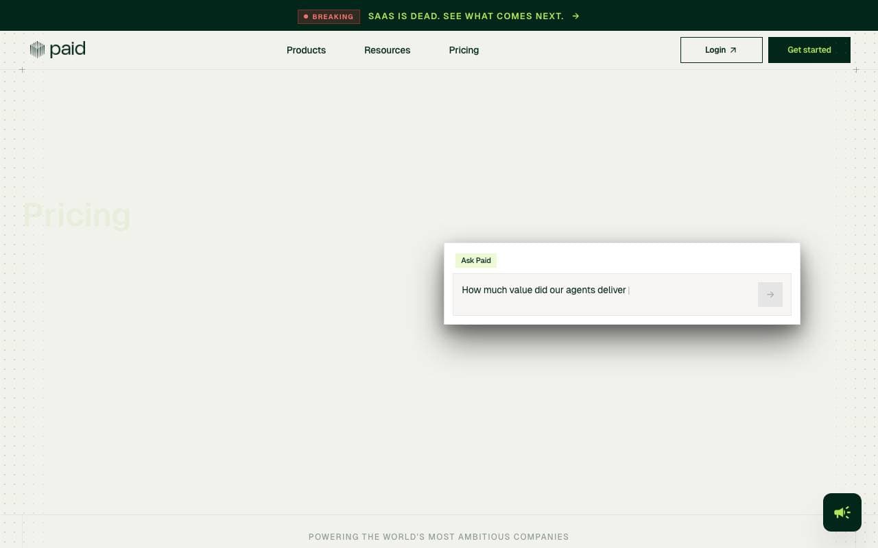 Paid.ai interface preview