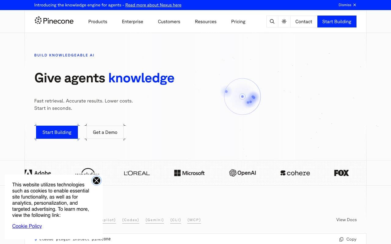 Pinecone AI interface preview