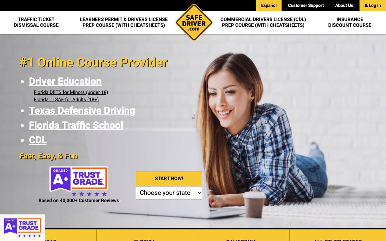 SafeDriver.com interface preview