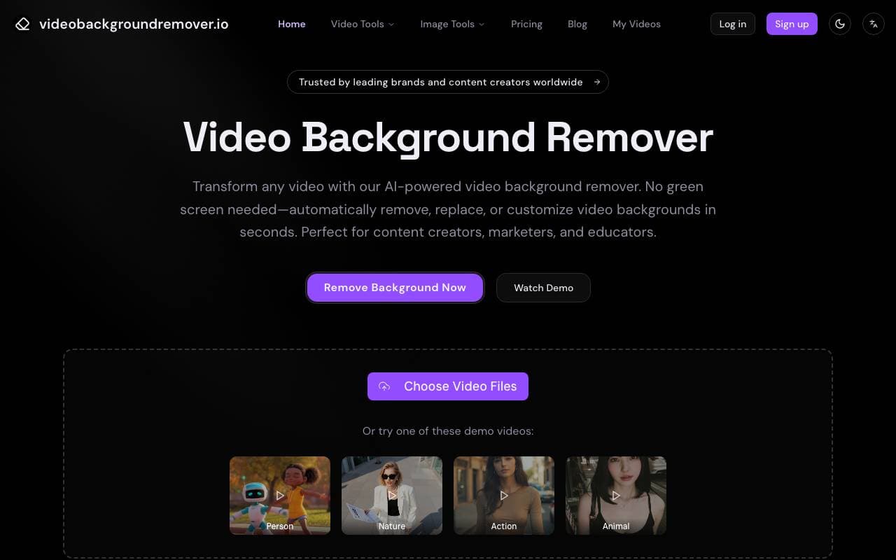 Video Background Remover interface preview