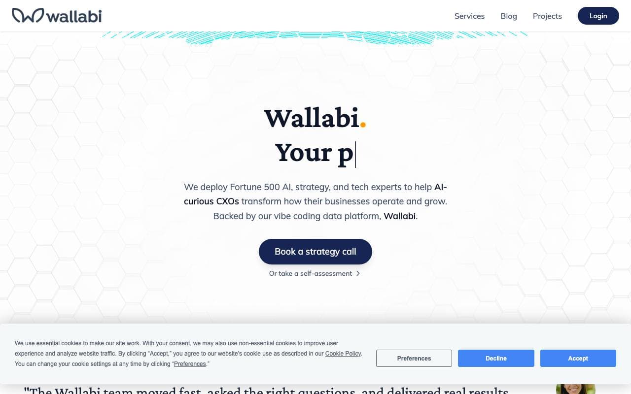 Wallabi interface preview